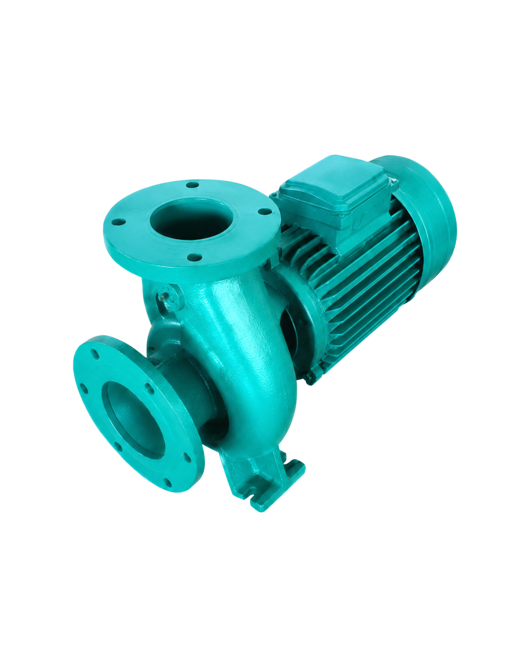 Chashmah pumps (3)