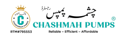 Chashmah pumps (11)